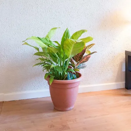 Apartamento Entrepinares Málaga